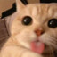 WhatAreUDoin9