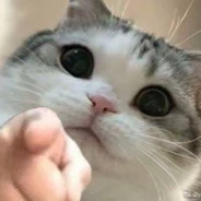 你就是软饭王？