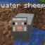 Water Sheep