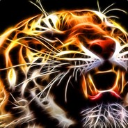 The tiger
