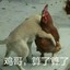 ChicKeN丶KinG