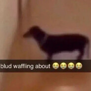 ﷽﷽﷽﷽﷽﷽﷽﷽﷽﷽