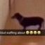 ﷽﷽﷽﷽﷽﷽﷽﷽﷽﷽