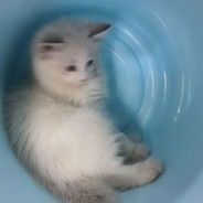 康士坦的变化球