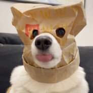 我了个豆豆豆豆豆