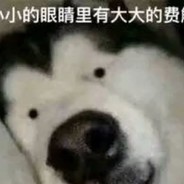 可恶的大黑耗子