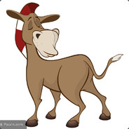 我有一只小毛驴