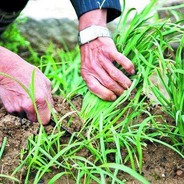 这英俊的脸庞让我在人群中感到无比自在