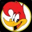 Woody Woodpecker