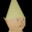 Gnomie