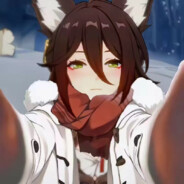 神子和停云的狗