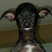 frazberi avatar