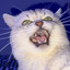 Evilcat001