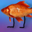 blobfishy