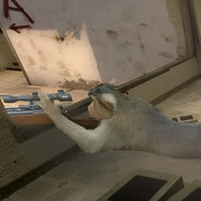 Moikys - steam id 76561198037097045
