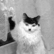 1fps - steam id 76561199567538945