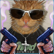 TaxEvader
