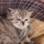 tiktok/@aiziixx's avatar