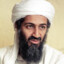 Bin Laden