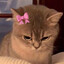 nugget's avatar