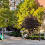 否否是一只猫ao