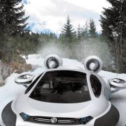 夏明湖畔的大雨荷