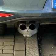 鬼鬼祟祟杀一个