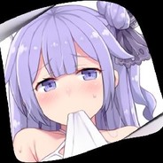 【SVIP】电脑玩家