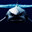 MegaloDON