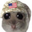 War_Hamster39487