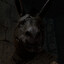 Nabi's avatar