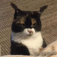 她才17岁她怎么守得住B