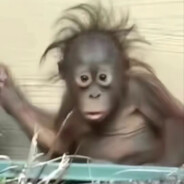 马喽！！！