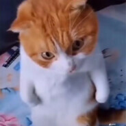 帅气迷人的反派角色