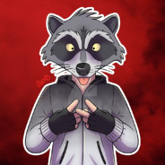 Zelotes Raccoon