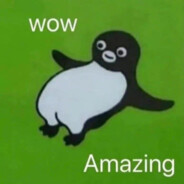 我看到你的毕设惊了