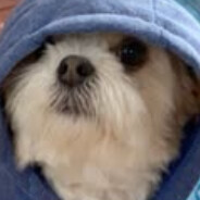 Kevko - steam id 76561198281026005