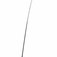 真的假的？？？