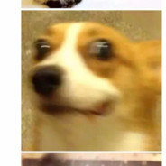 听闻阿辉夜驭百女