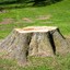 Stump.