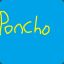 Poncho Toto