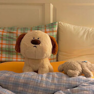 晨光渐逝而我未走近你