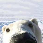 Mr.Croak_SKINS - steam id 76561199045004514