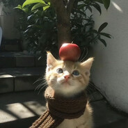 你喜欢听什么歌