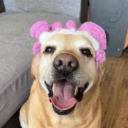 你是内内个内内