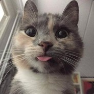 Simba avatar
