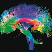 twotechs - steam id 76561197971792083