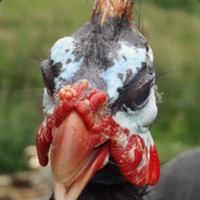 пИх-ПаХ_Труп_НаХ