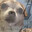 Borker