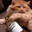 nyfee avatar